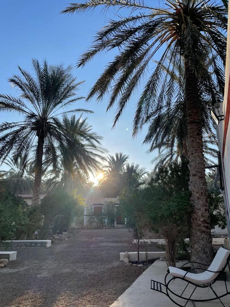 מלון Kebili Dar Barka מראה חיצוני תמונה