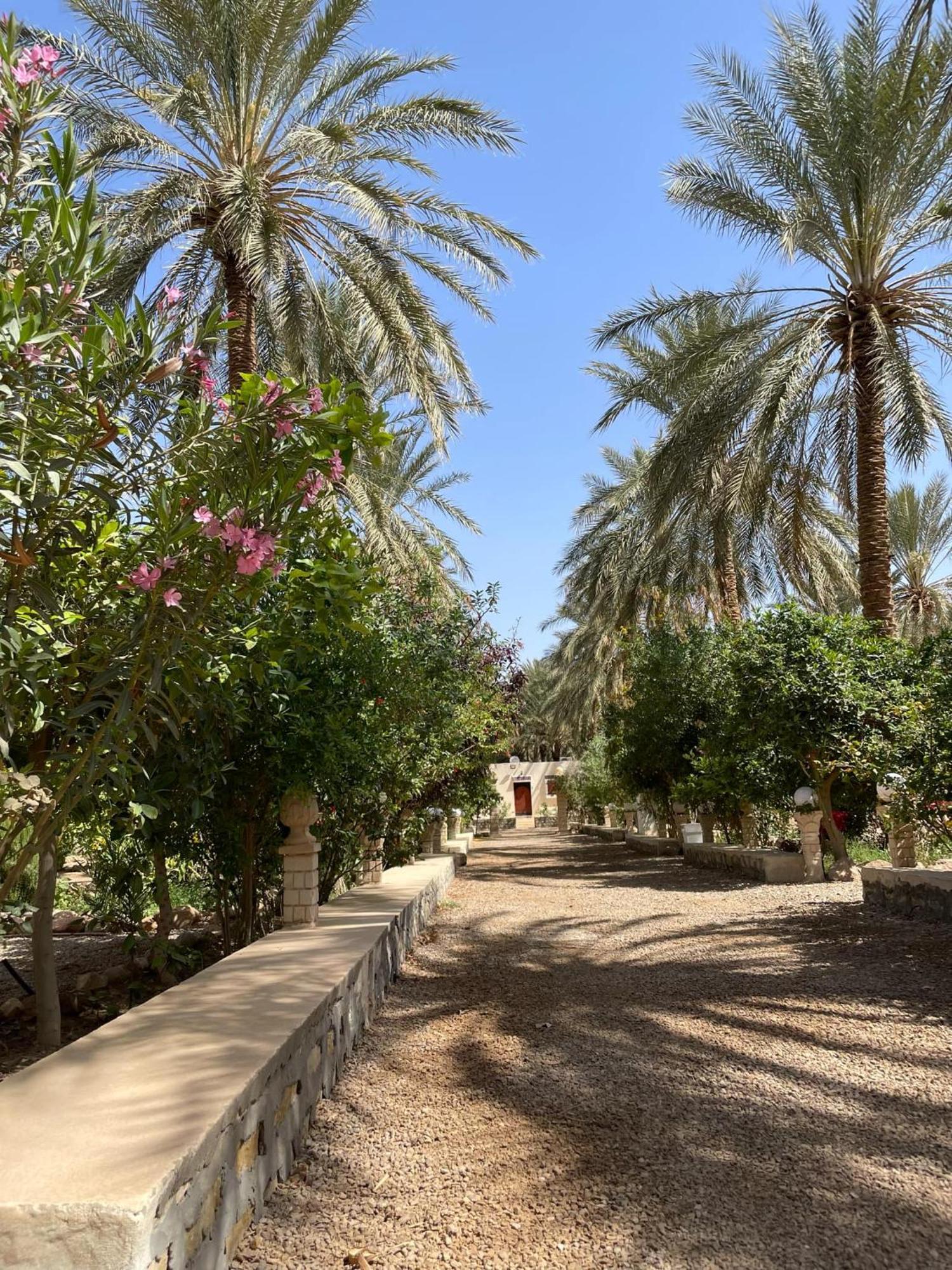מלון Kebili Dar Barka מראה חיצוני תמונה